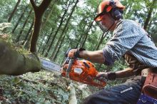 HUSQVARNA 555 benzínová řetězová pila (3)