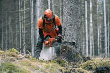 HUSQVARNA 572 XP Profesionální benzínová řetězová pila ZDARMA OLEJ 2T (4)
