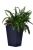 KETER Květináč Rattan Planter S 23,6 l grafitový