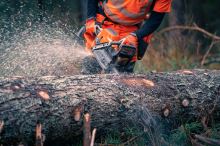 HUSQVARNA 592 XP Řetězová pila ZDARMA DALŠÍ ŘETĚZ A OLEJ 2T (5)