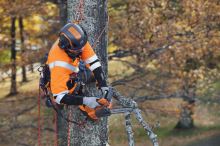 HUSQVARNA T525 benzinová jednoruční vyvětvovací pila (4)