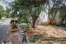 MILWAUKEE M18FTPS30-0 aku vyvětvovací pila 30cm lišta bez  baterie a nabíječka  4933480868 (9)
