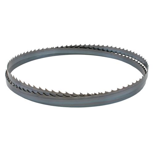 IGM Carbon FORCE HOOK Pilový pás 3860mm - 19 x 0,8mm 2TPi