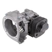 Motor benzínový 2.takt 44mm          1E44F 52CC PROCRAFTT (1)